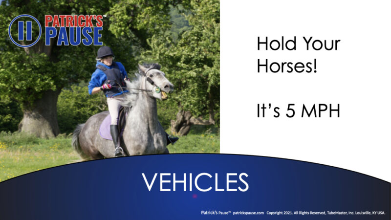 Horseback riding meme "Hold your horse! It's 5 mph"